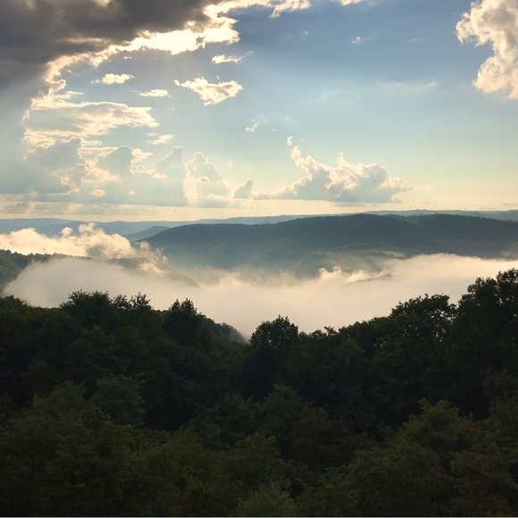 Meet your Posher, Kelsey - Picture 1 of 3